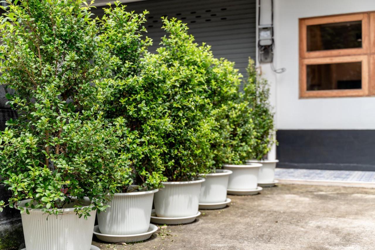 Socialer Coliving & Coworking Space Chiang Mai Eksteriør bilde